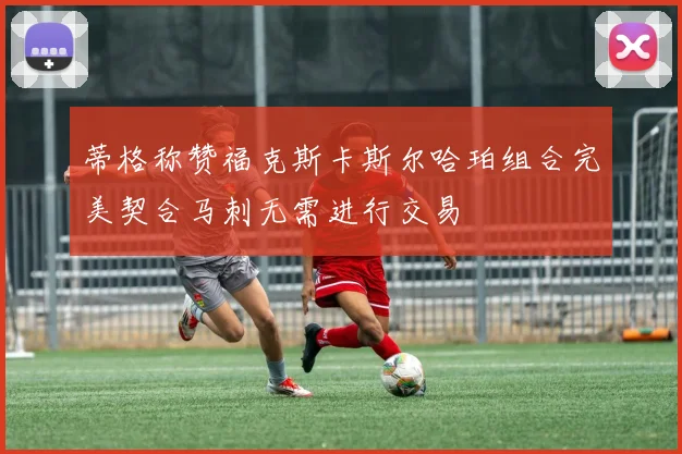 蒂格称赞福克斯卡斯尔哈珀组合完美契合马刺无需进行交易