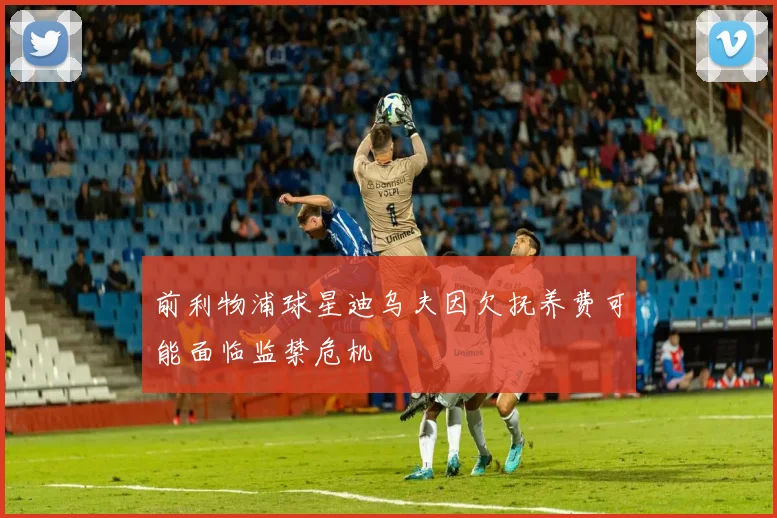 前利物浦球星迪乌夫因欠抚养费可能面临监禁危机
