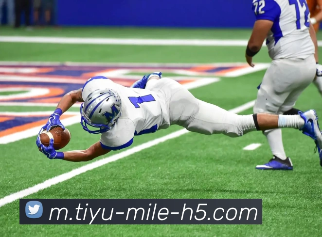 米乐体育发展历程